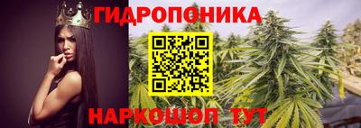 крисы Аргун