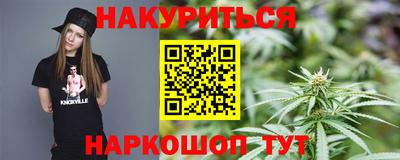 крисы Аргун