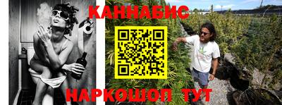 крисы Аргун