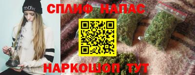 сатива Апшеронск