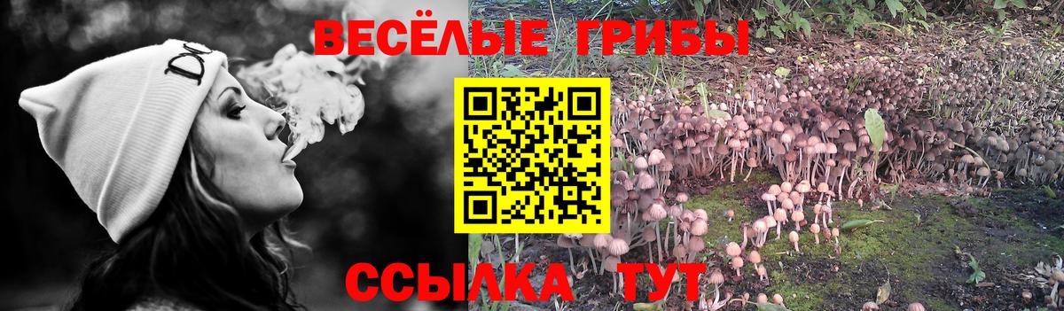Балабаново  Псилоцибиновые грибы MAGIC MUSHROOMS  Псилоцибиновые грибы мухоморы  Вход с VPN 